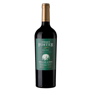 Enrique Foster Single Vineyard Los Altepes Malbec 2018