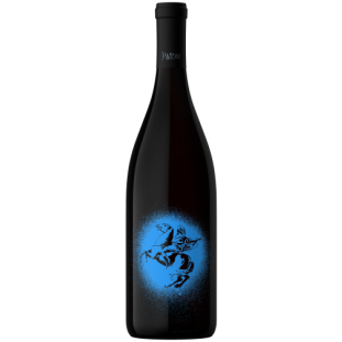 Canopus Pintom Sur Pinot Noir 2020 vinho argentino