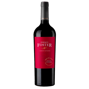 Enrique Foster Single Vineyard Los Altepes Cab. Sauv. 2018