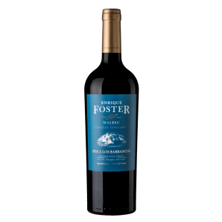 	 Enrique Foster Single Vineyard Los Barrancos Malbec 2018