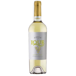Enrique  Foster  Ique  Chardonnay  2023