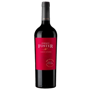 Enrique Foster Single Vineyard Los Altepes Cab. Sauv. 2018