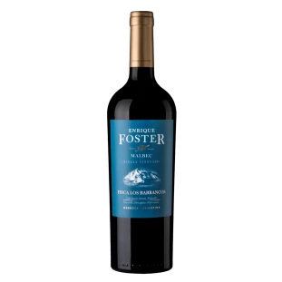 	 Enrique Foster Single Vineyard Los Barrancos Malbec 2018