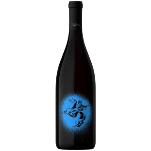 Canopus Pintom Sur Pinot Noir 2020 vinho argentino