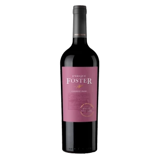 Enrique Foster Single Vineyard Los Altepes Cab. Franc 2018