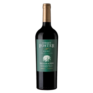 Enrique Foster Single Vineyard Los Altepes Malbec 2018
