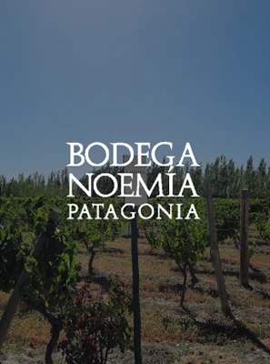 Noemia